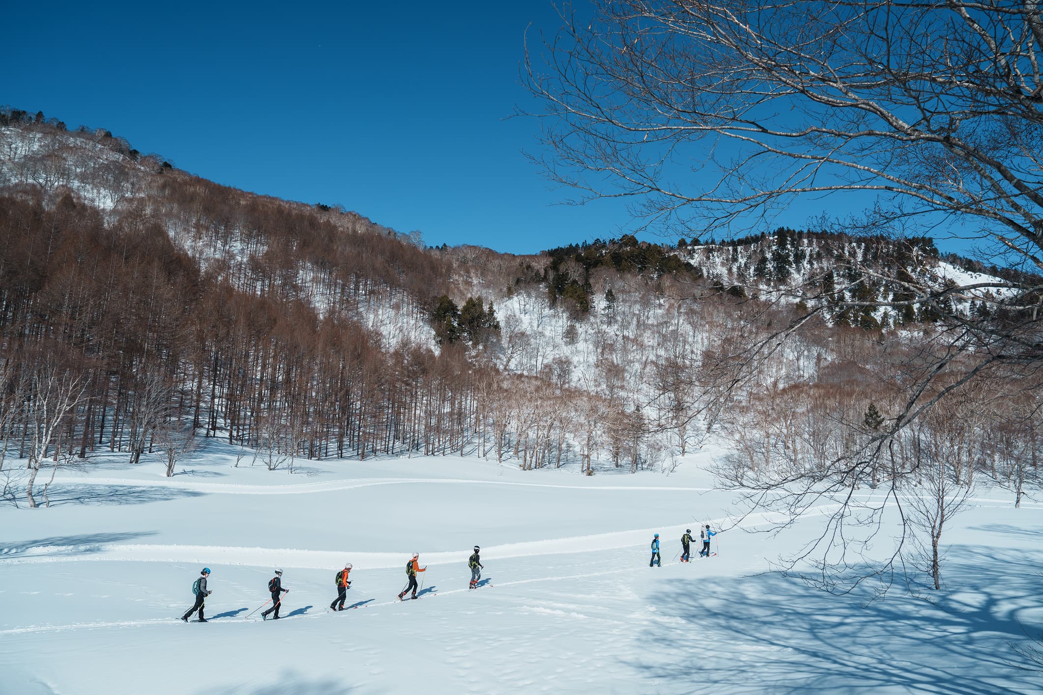 スキーモの活動
