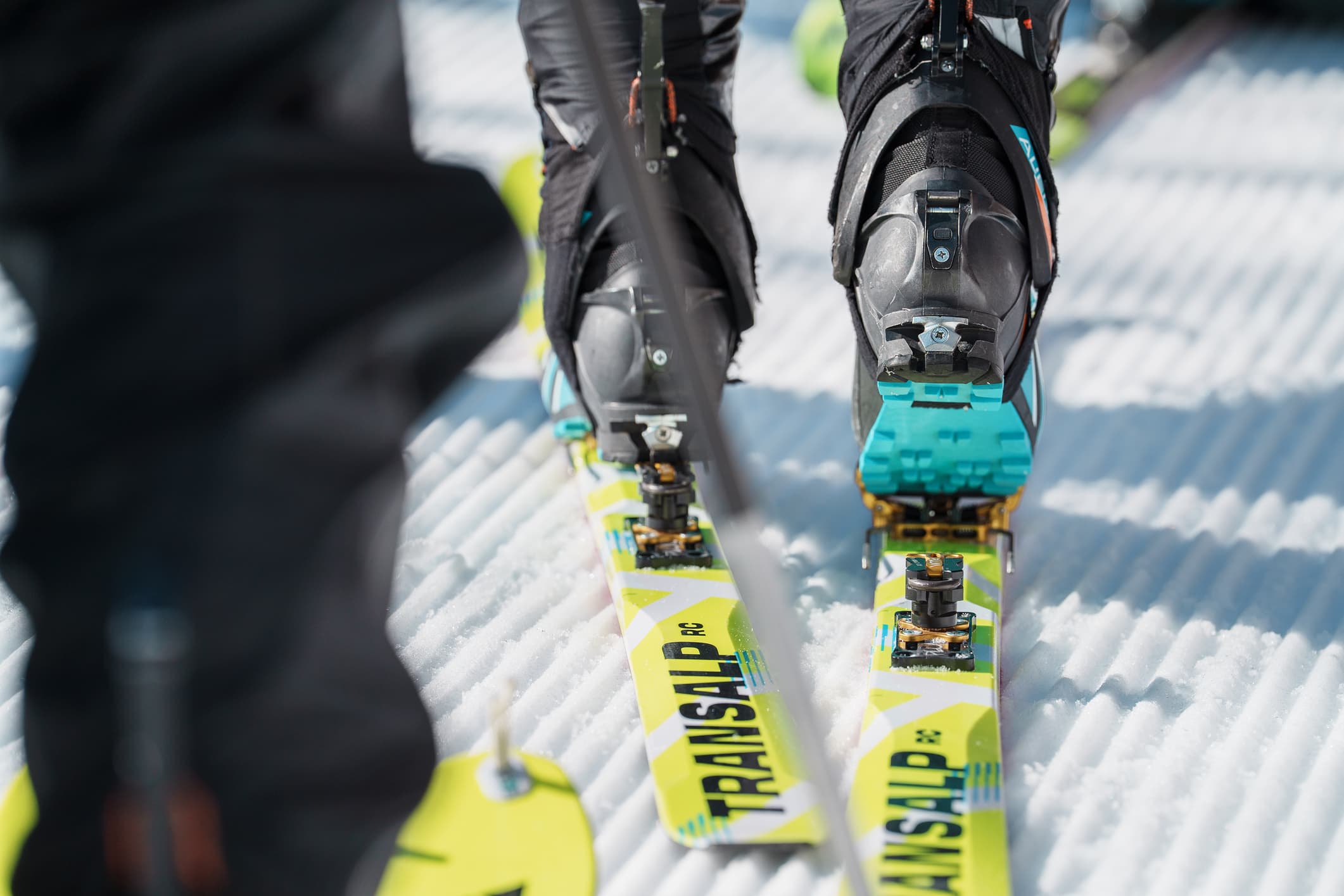 スキーモの活動